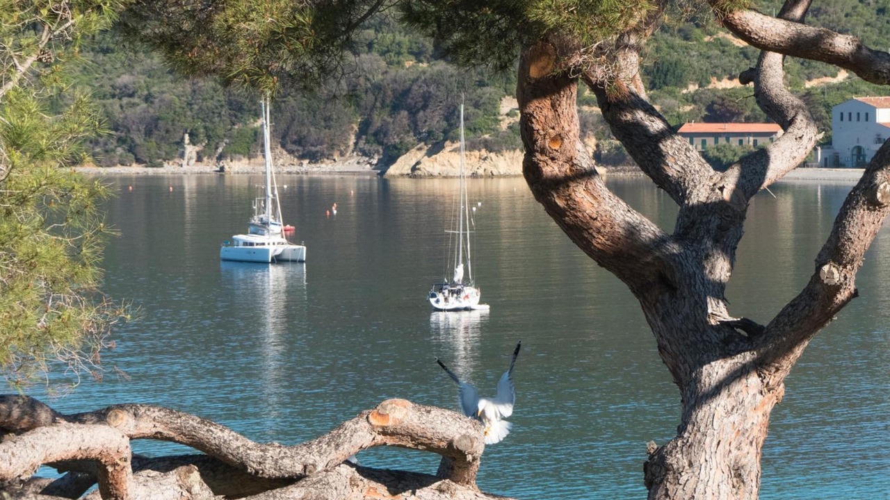 Photo of Outdoor in Portoferraio