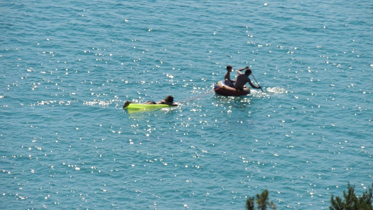 Photo of Others in Portoferraio