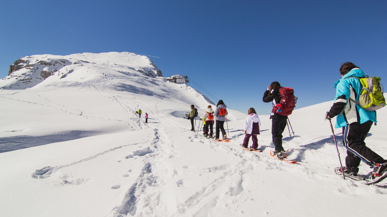 Photo of Others in San Martino di Castrozza