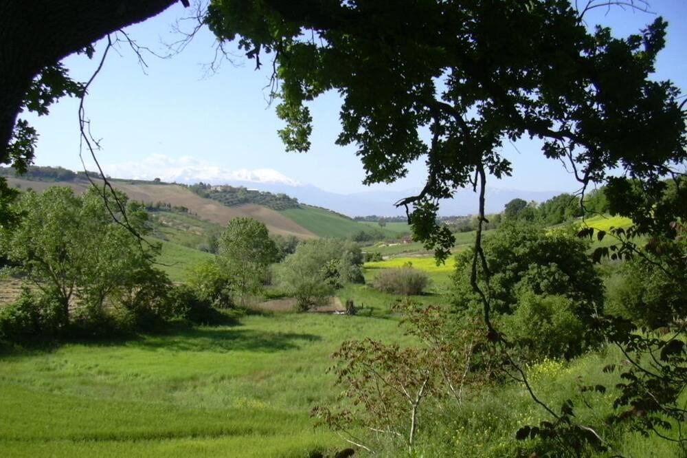 Photo of Outdoor in Spoltore
