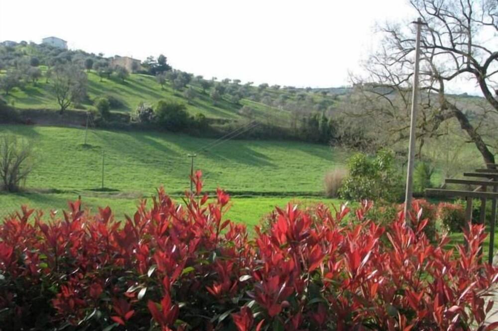 Photo of Outdoor in Spoltore