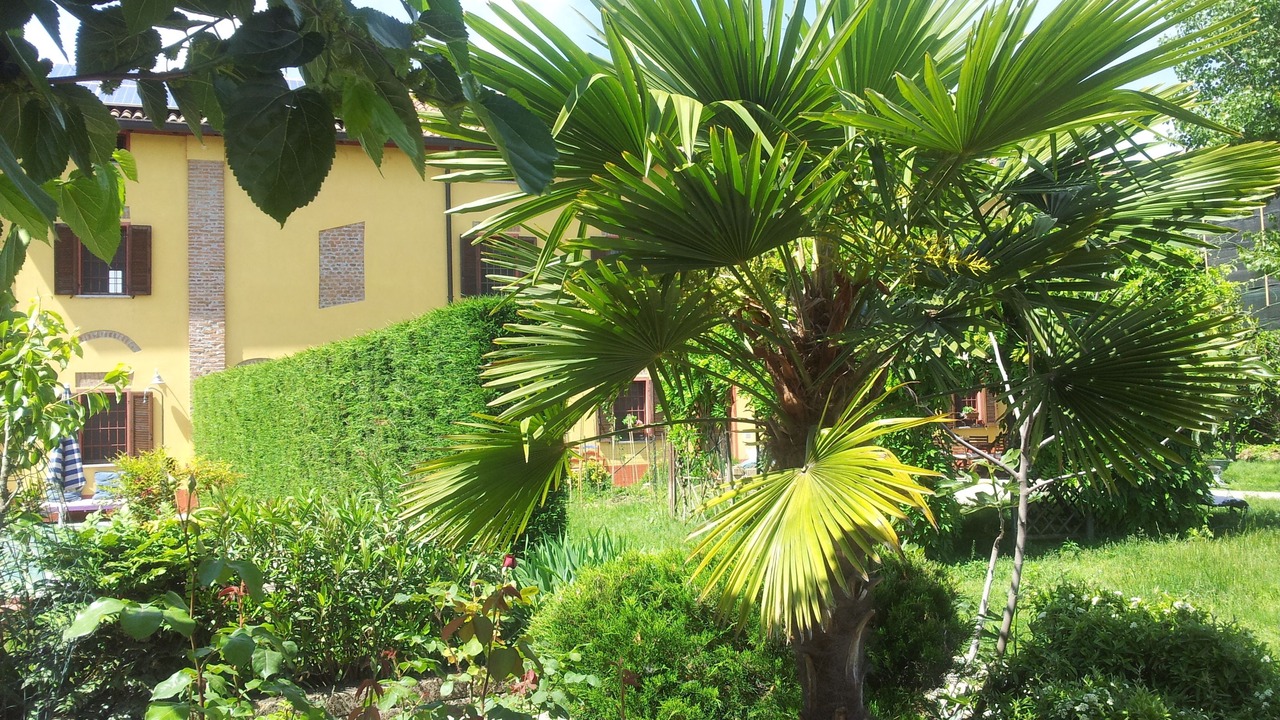 Photo of Outdoor in Castello d'Agogna
