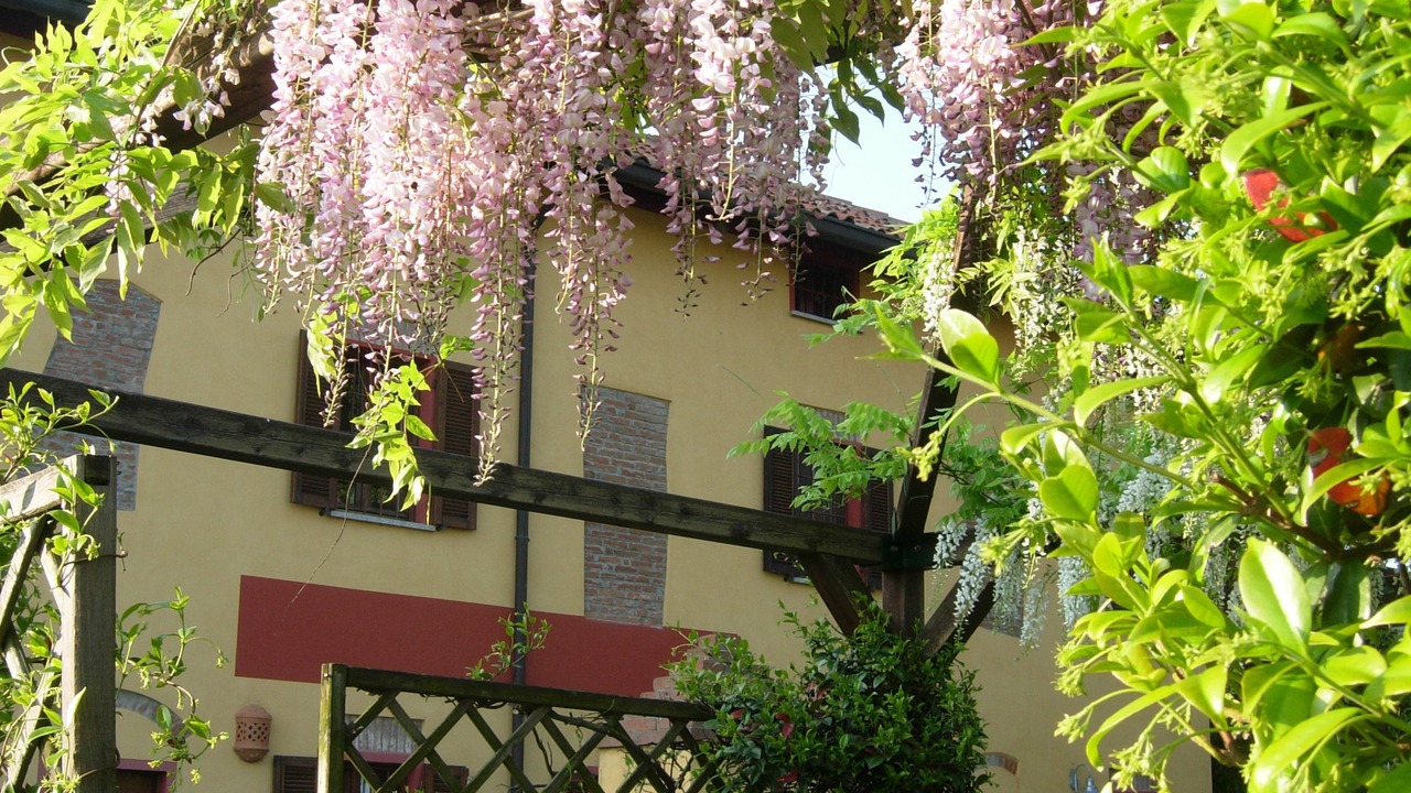 Photo of Outdoor in Castello d'Agogna
