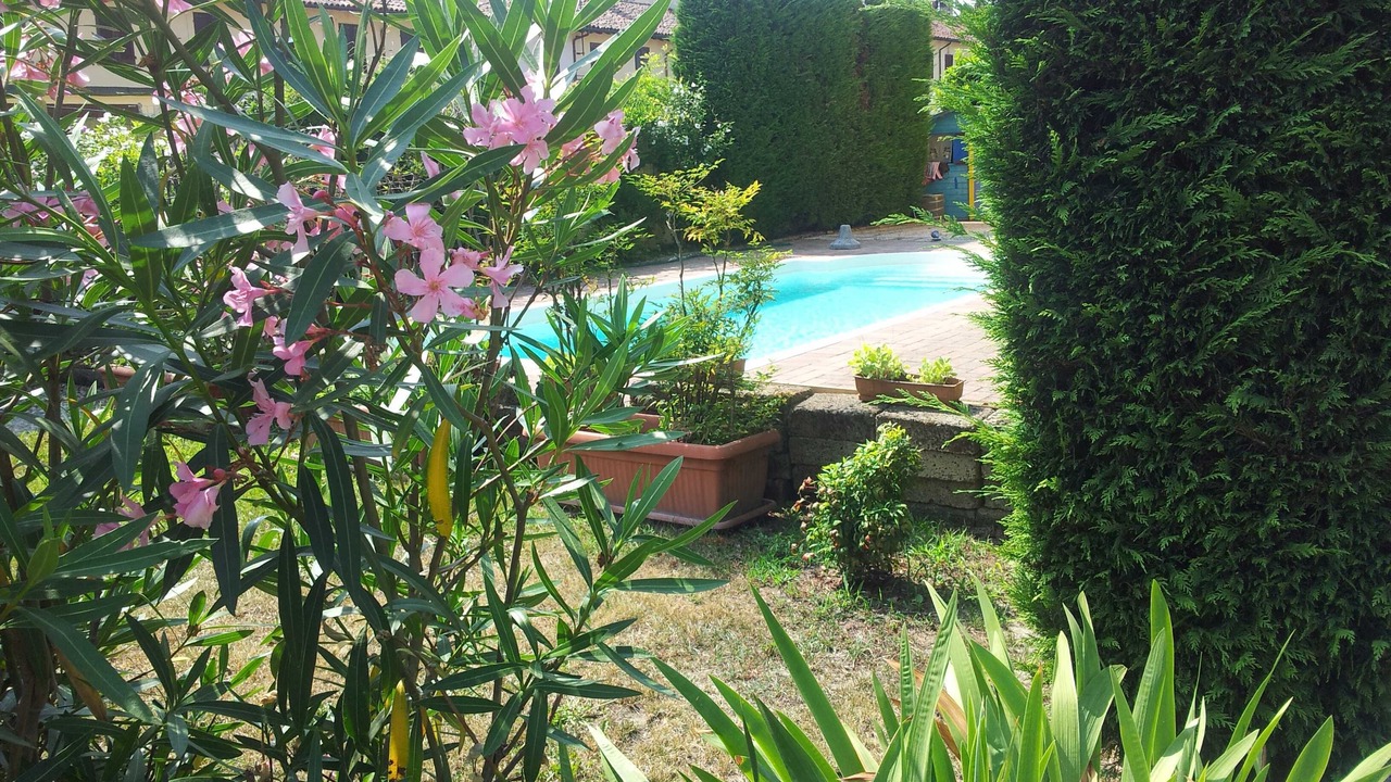 Photo of Outdoor in Castello d'Agogna