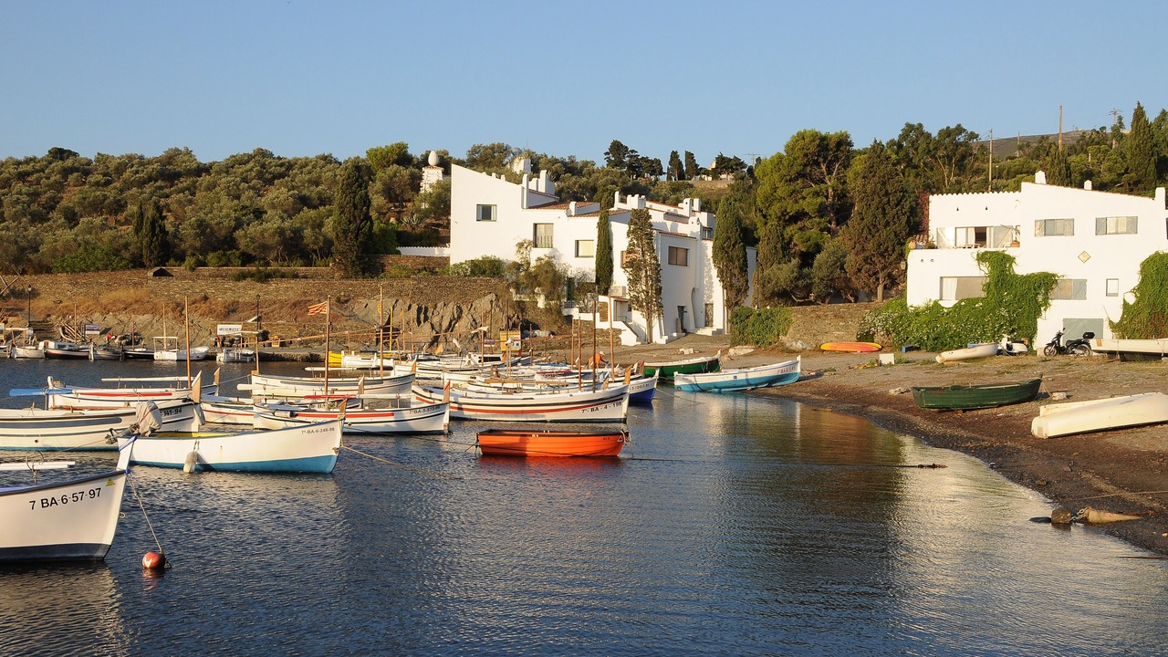 Photo of Others in El Mas Bosca