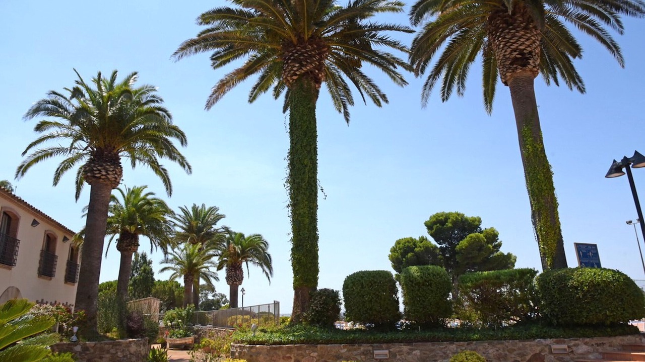 Photo of Outdoor in El Mas Bosca