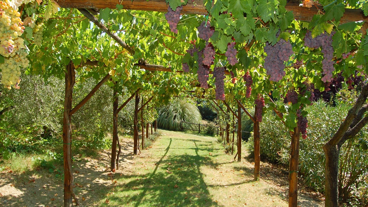 Photo of Outdoor in Loreto