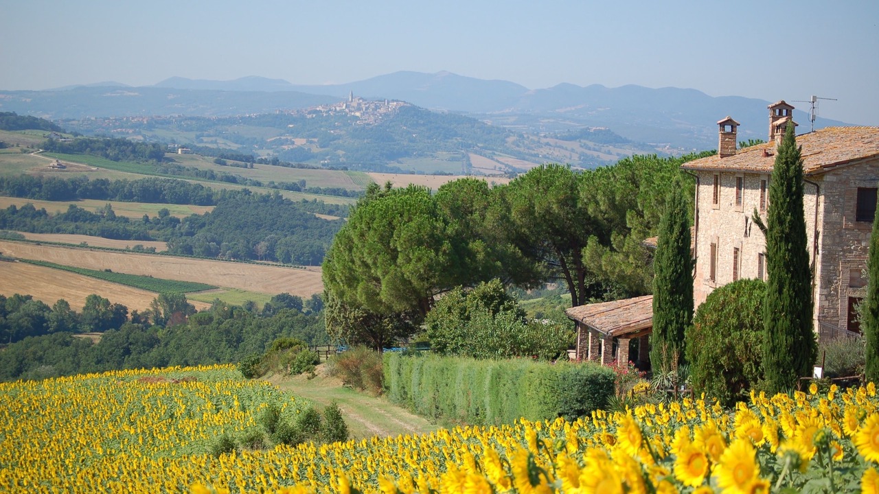 Photo of Outdoor in Loreto