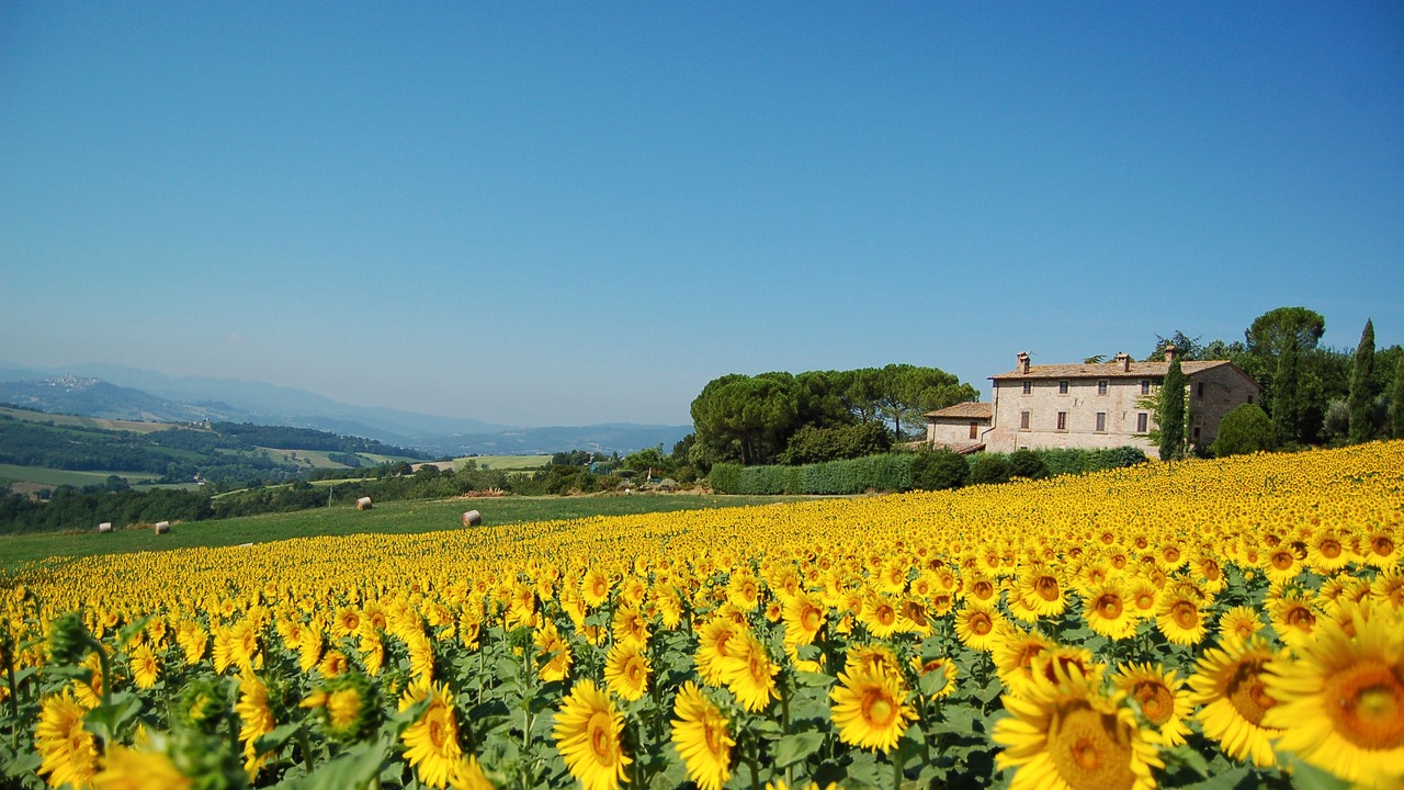 Photo of Outdoor in Loreto