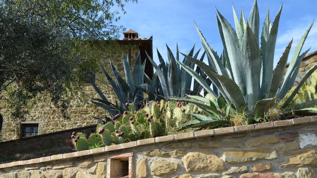 Photo of Outdoor in Panicale