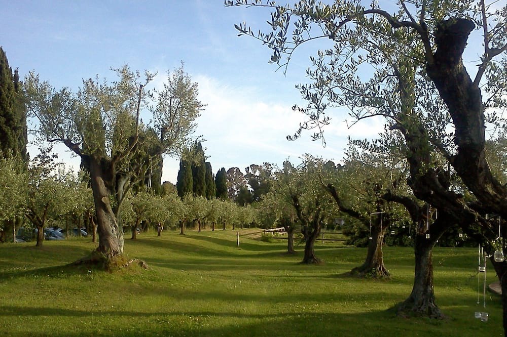 Photo of Outdoor in Borgo Santa Maria