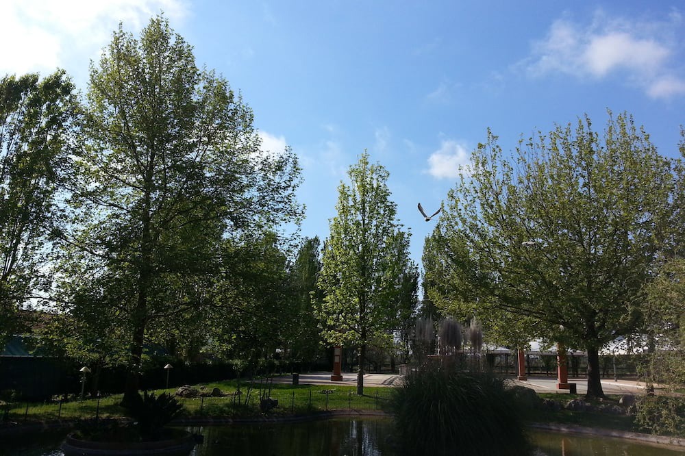 Photo of Outdoor in Borgo Santa Maria