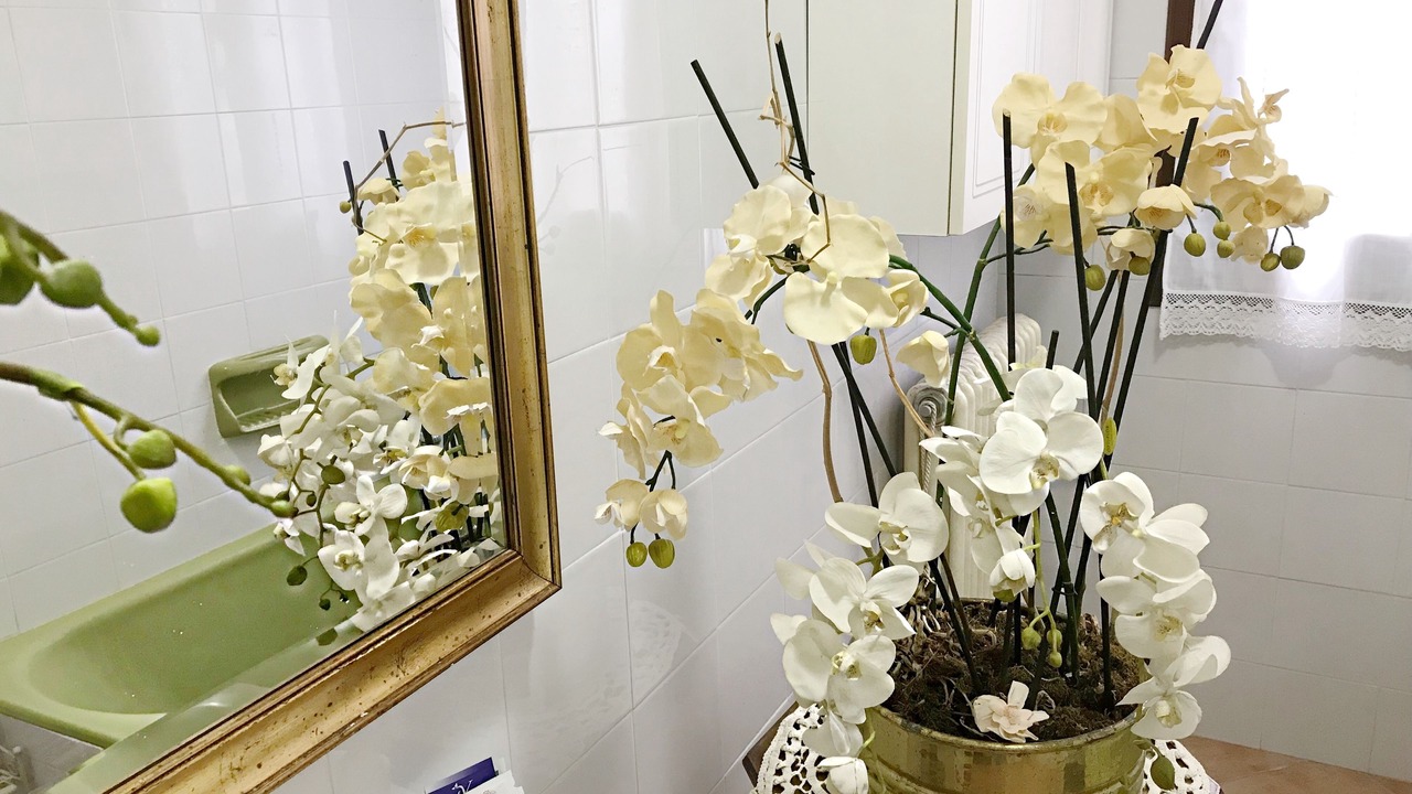 Photo of Bathroom in Quistello