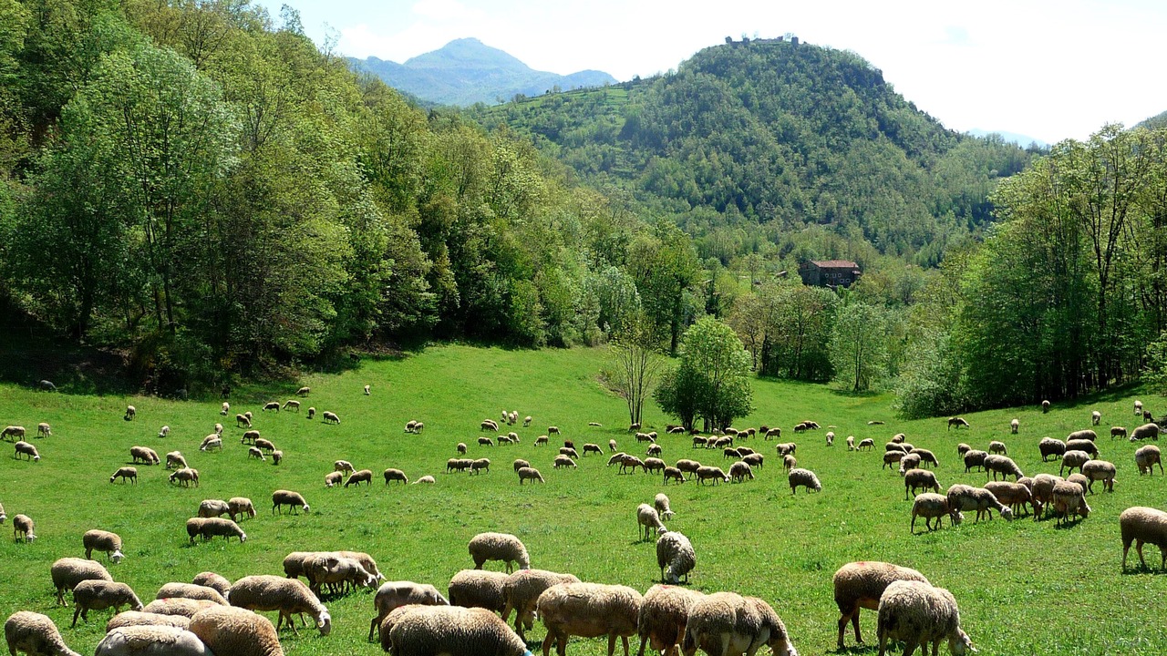 Photo of Outdoor in Rocabruna