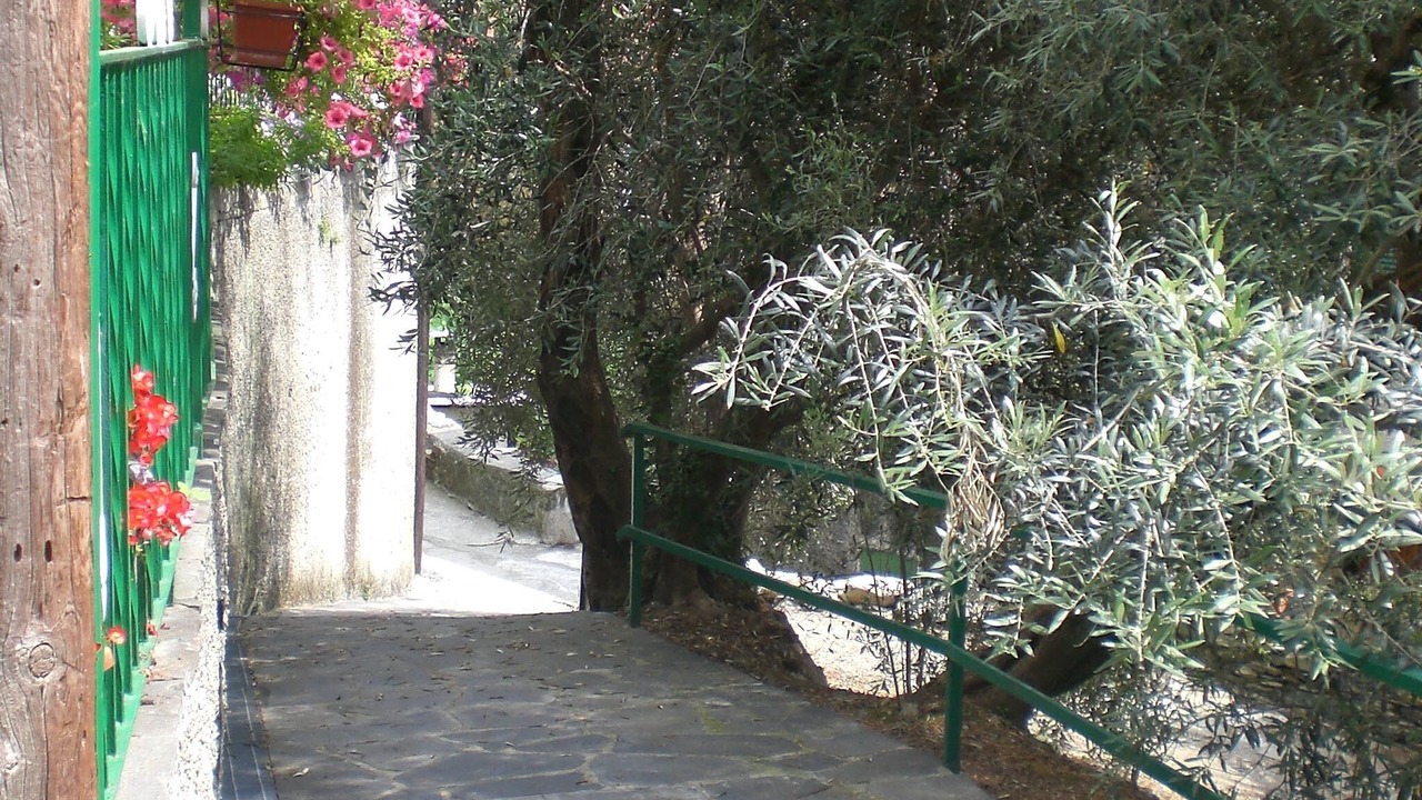 Photo of Outdoor in Sori