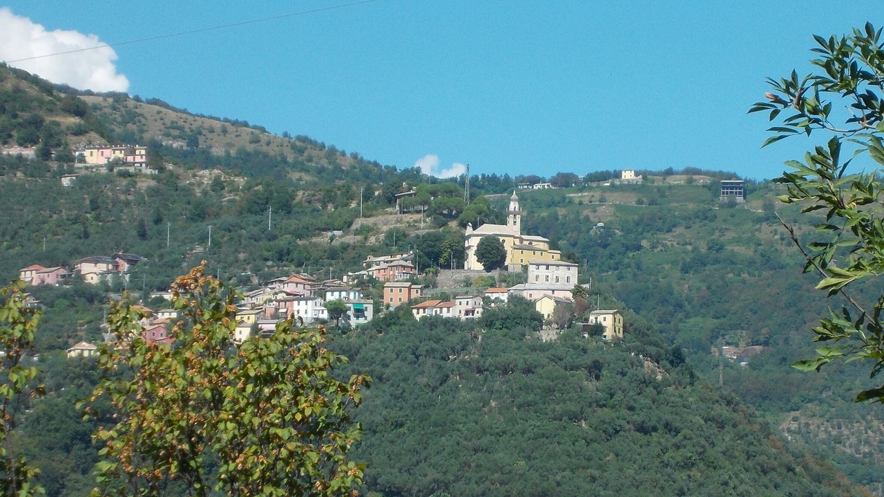 Photo of Outdoor in Sori