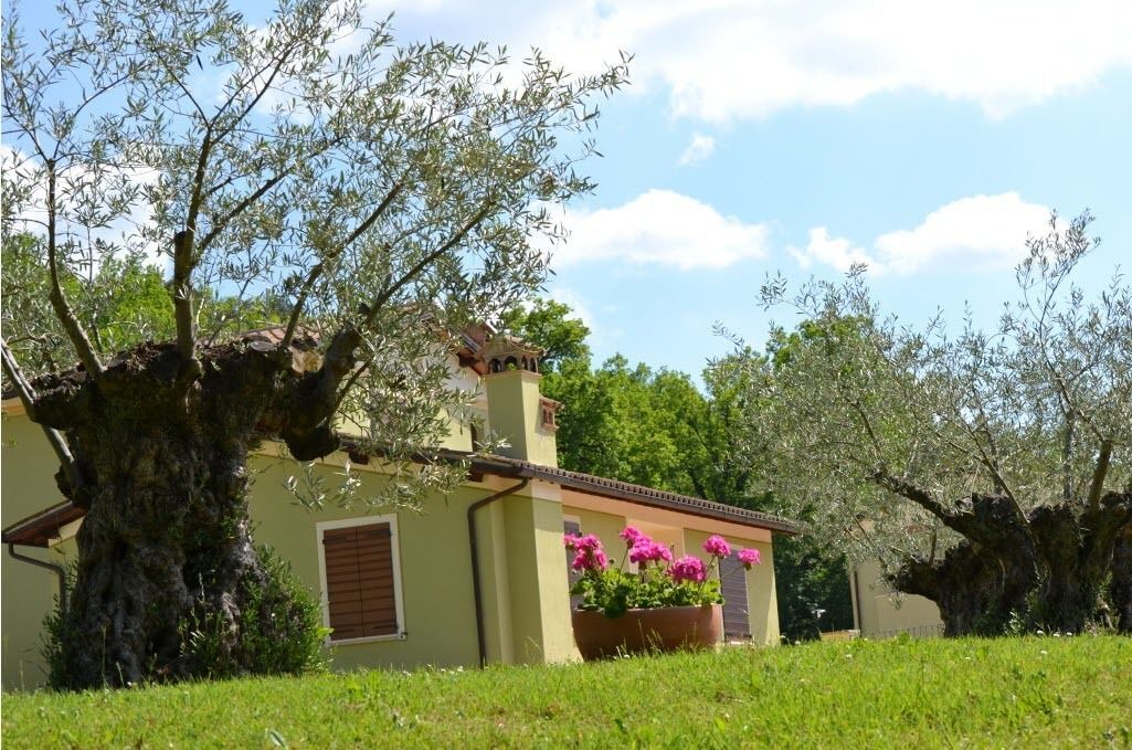 Photo of Outdoor in Spoleto