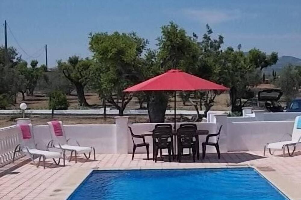 Photo of Outdoor in Turis