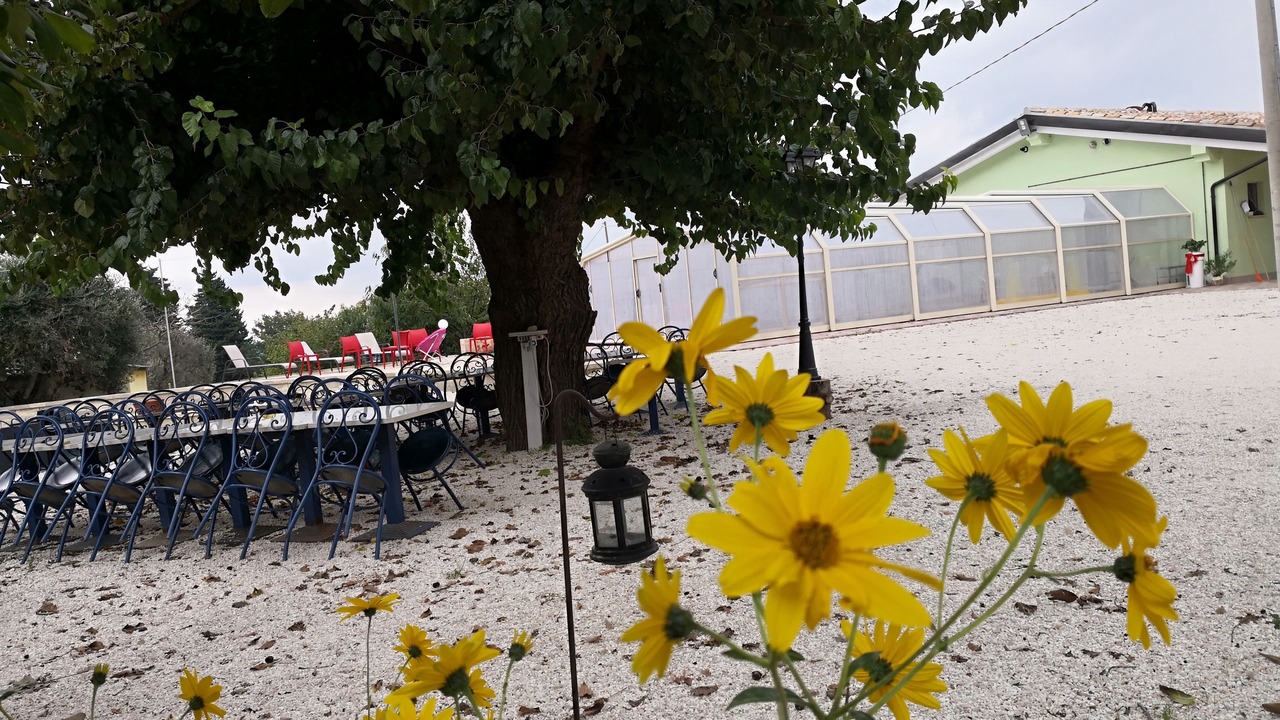 Photo of Outdoor in Pollenza