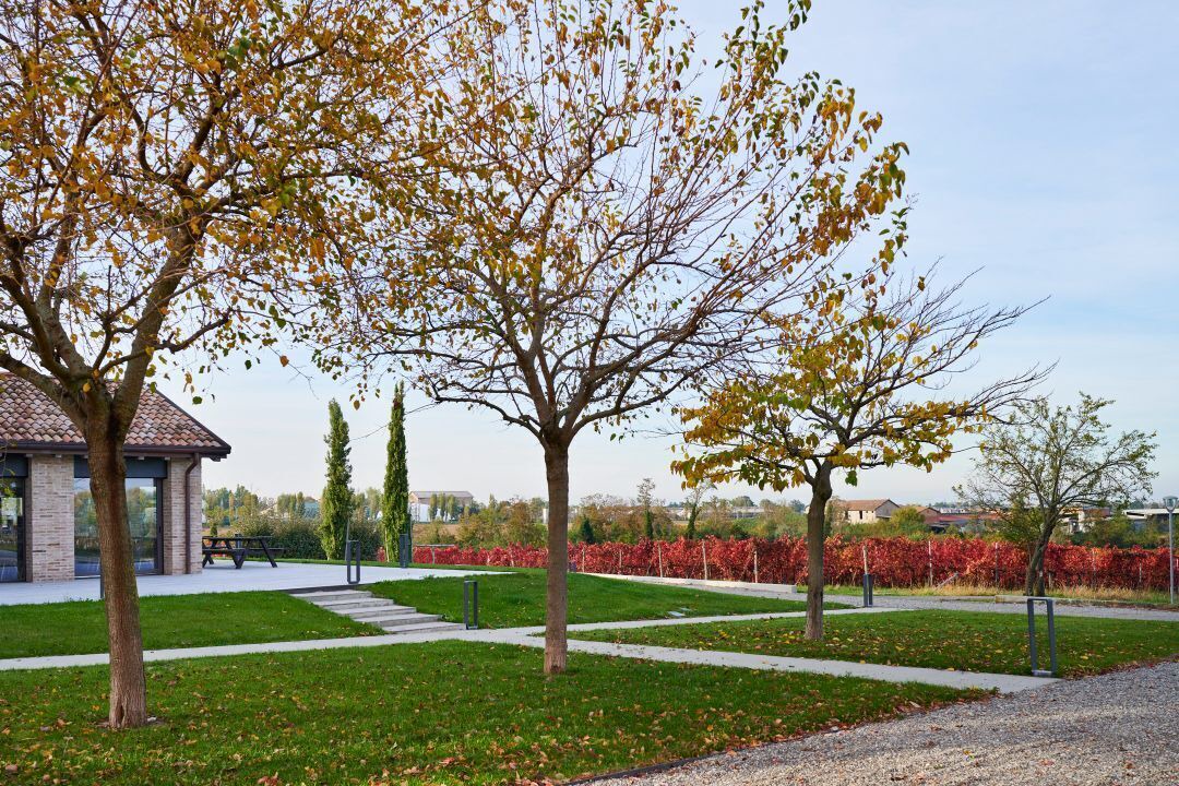 Photo of Outdoor in Canali