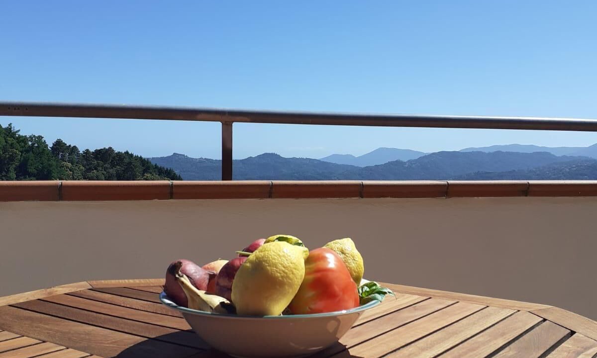 Photo of Outdoor in Bolano