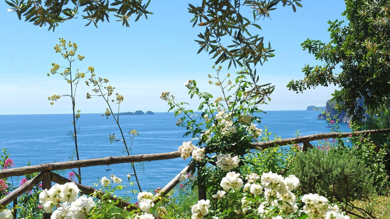 Photo of Outdoor in Positano City Centre