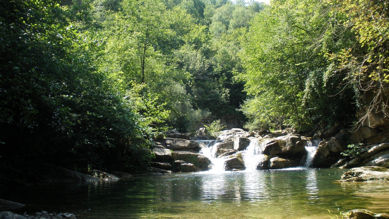 Photo of Outdoor in Rocabruna
