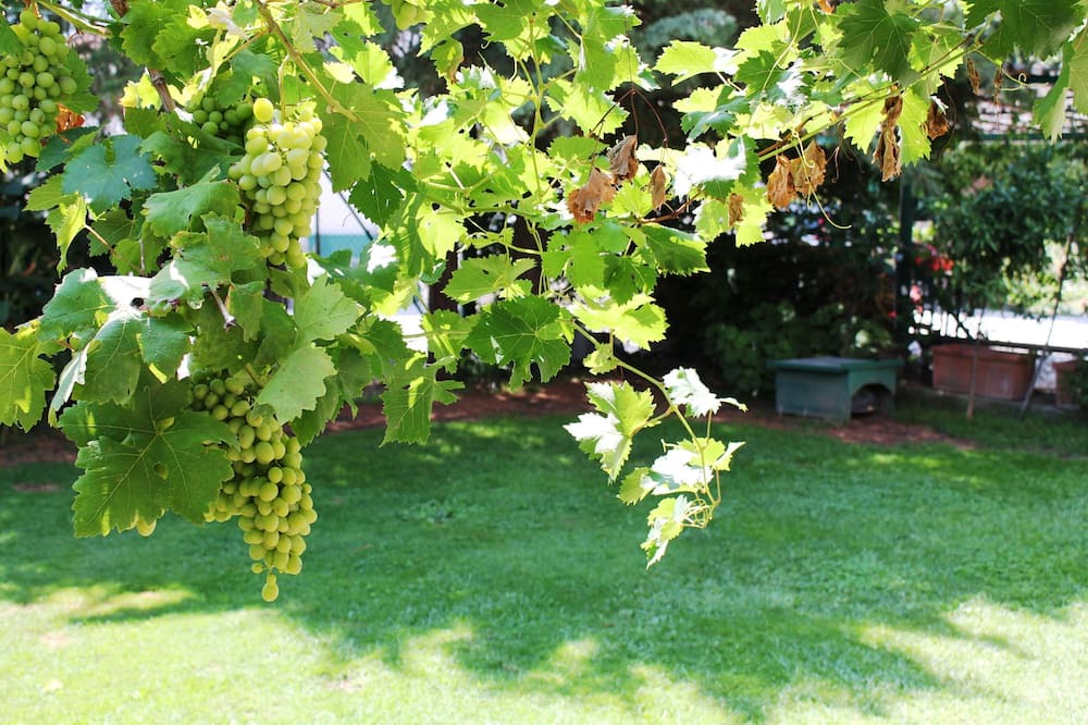 Photo of Outdoor in Venafro