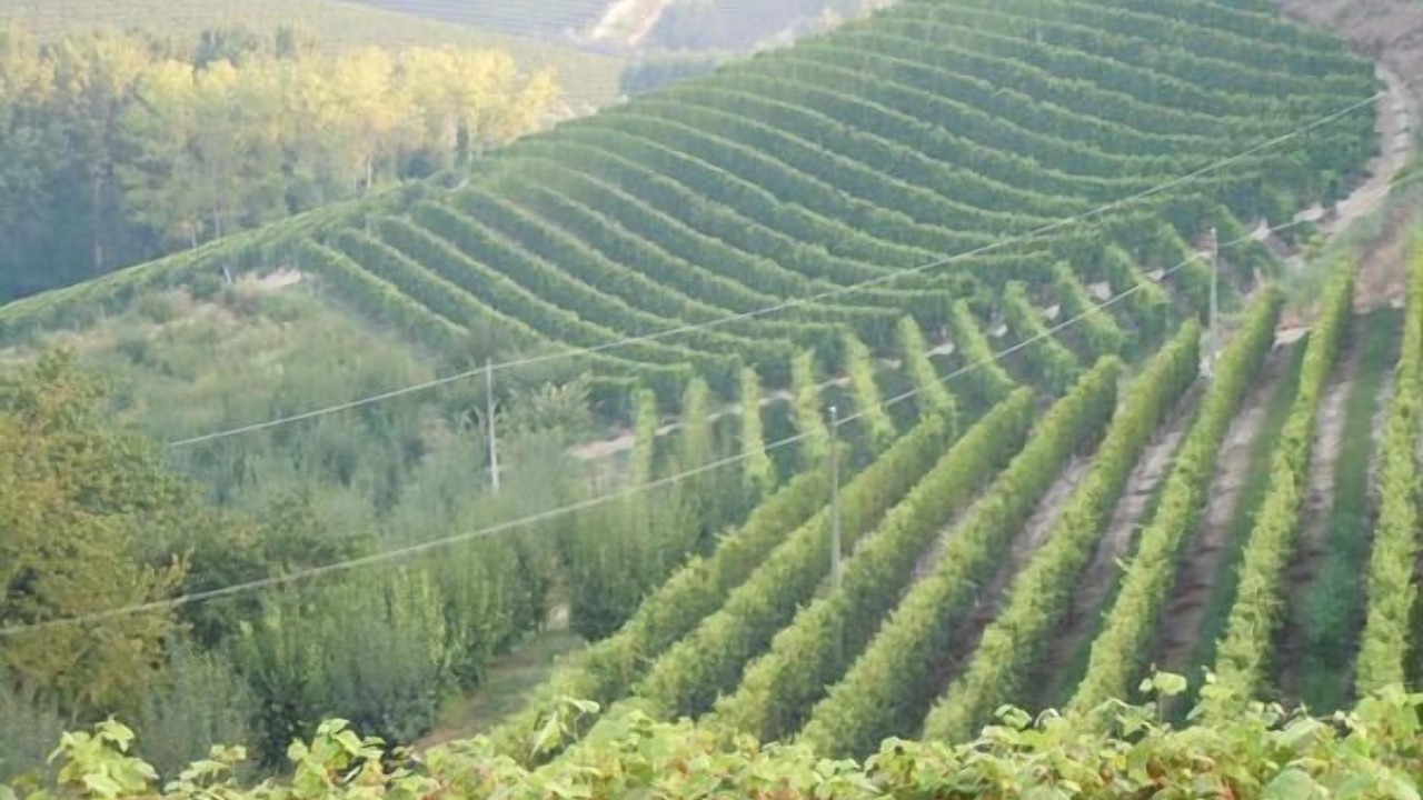 Photo of Outdoor in Canale