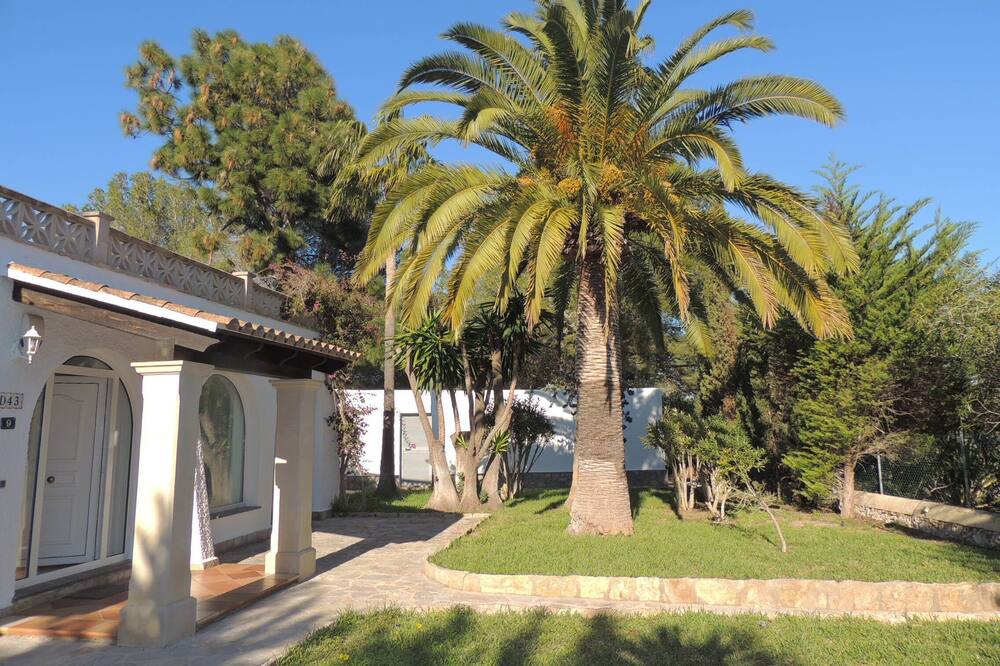 Photo of Outdoor in Cala Murada