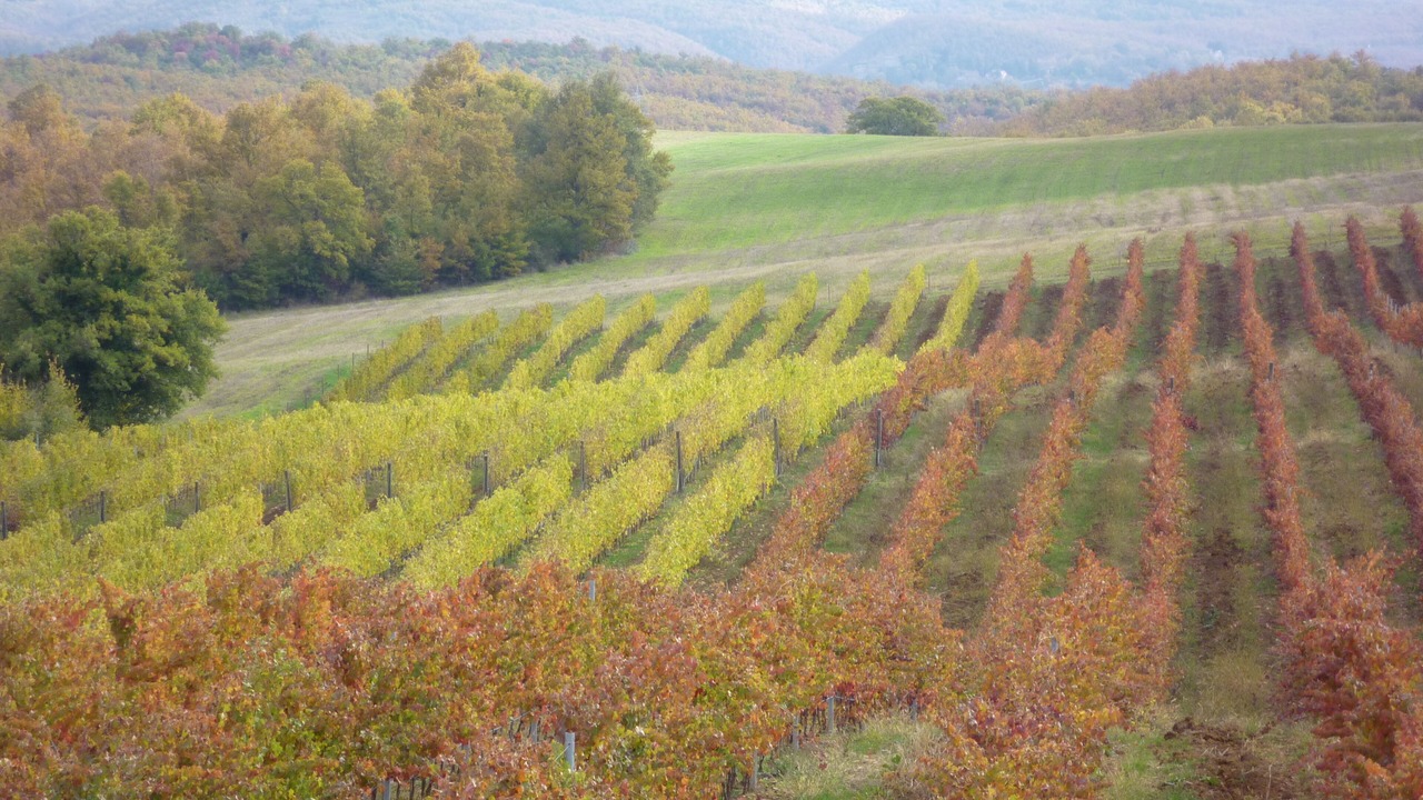 Photo of Outdoor in Montegiove