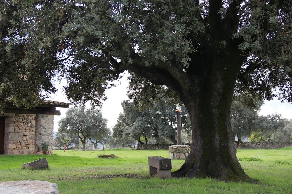 Photo of Outdoor in La Iglesuela