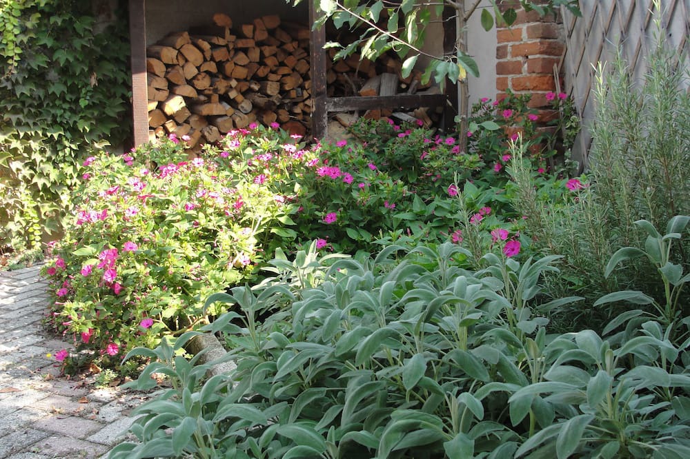 Photo of Outdoor in Carmagnola