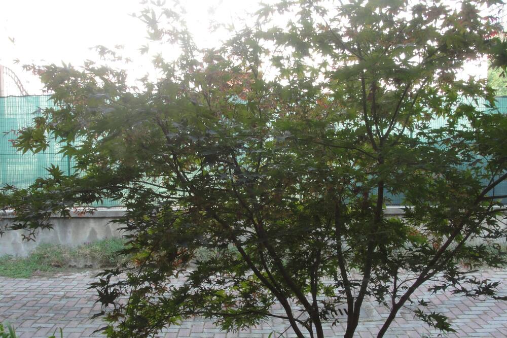 Photo of Outdoor in Carmagnola