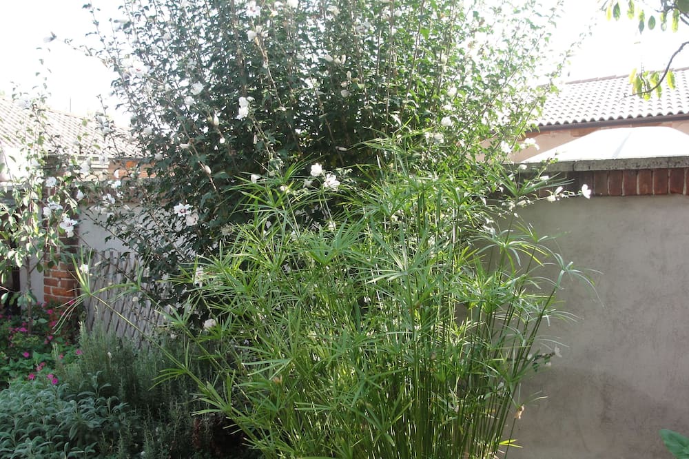 Photo of Outdoor in Carmagnola