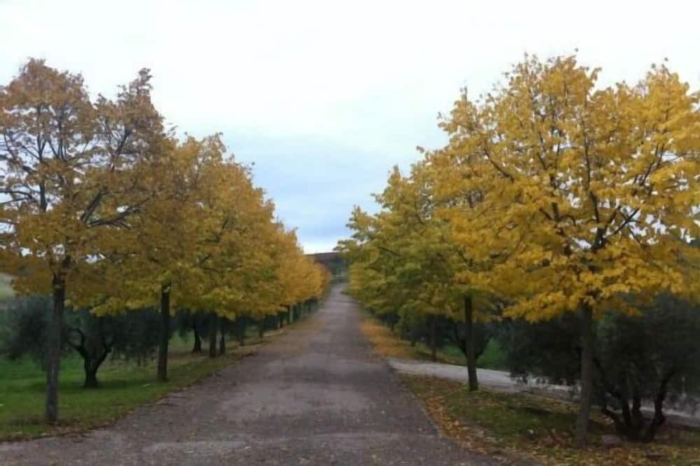 Photo of Outdoor in Albarreal de Tajo