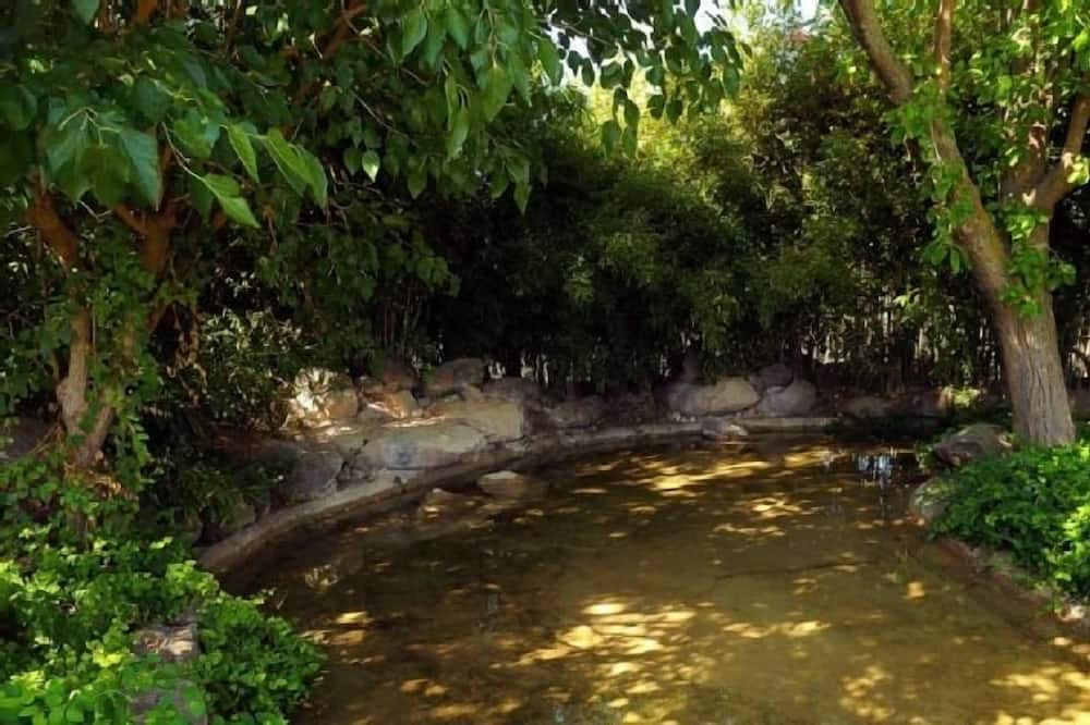 Photo of Outdoor in Albarreal de Tajo