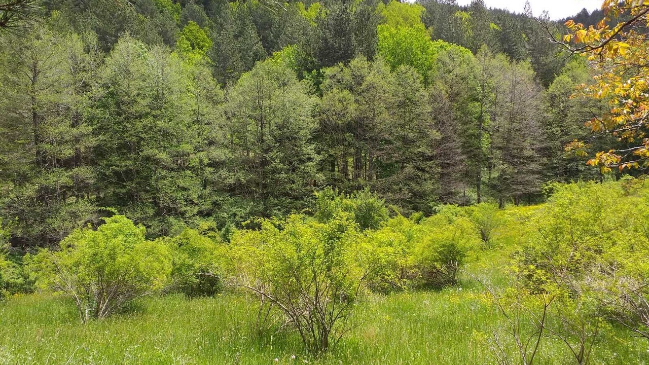 Photo of Outdoor in San Giovanni in Fiore