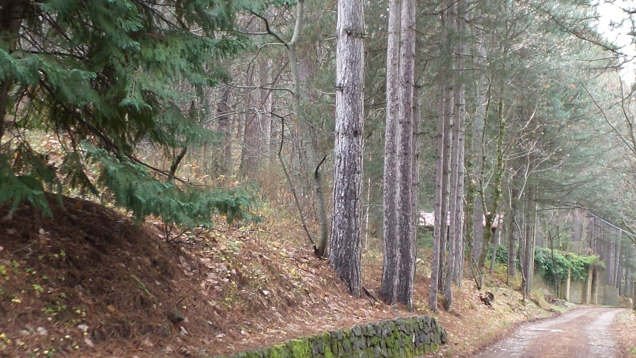 Photo of Outdoor in San Giovanni in Fiore