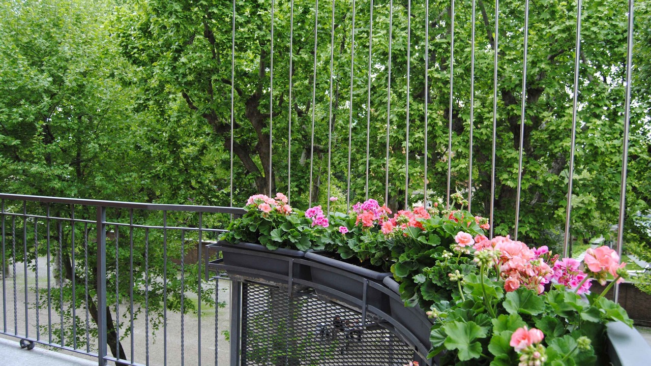 Photo of Outdoor in Cirie