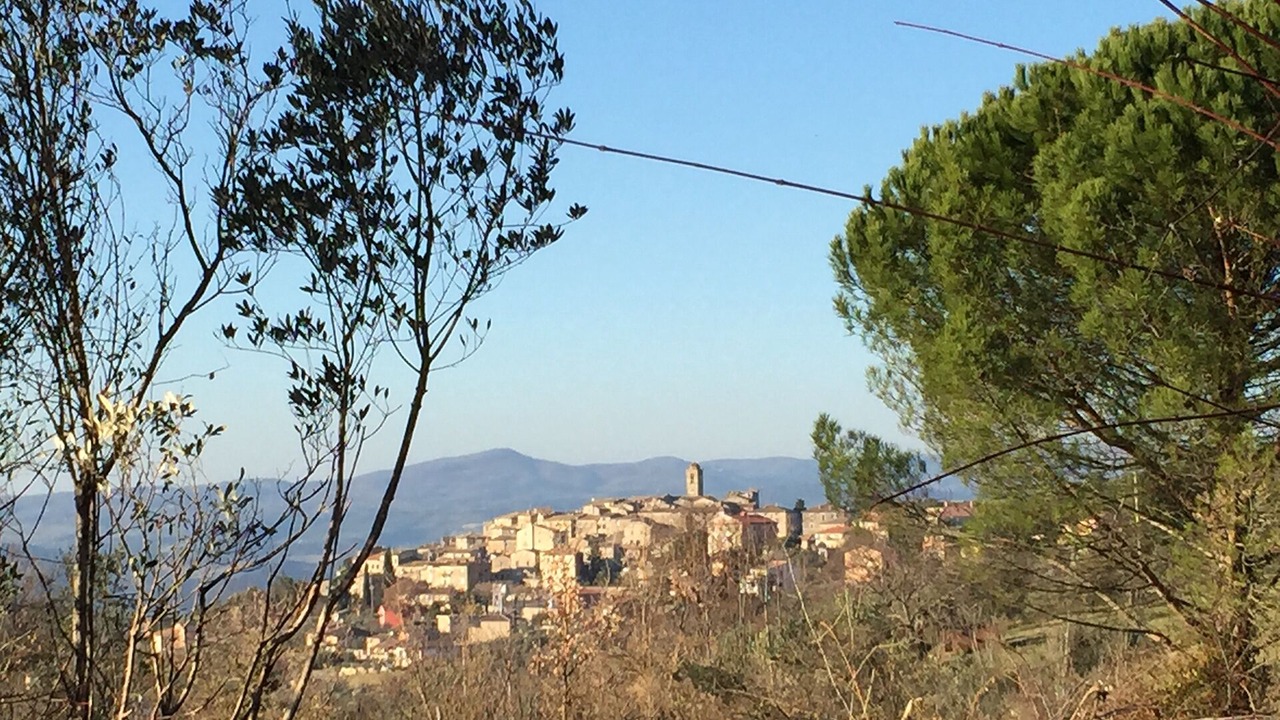 Photo of Outdoor in Montecchio