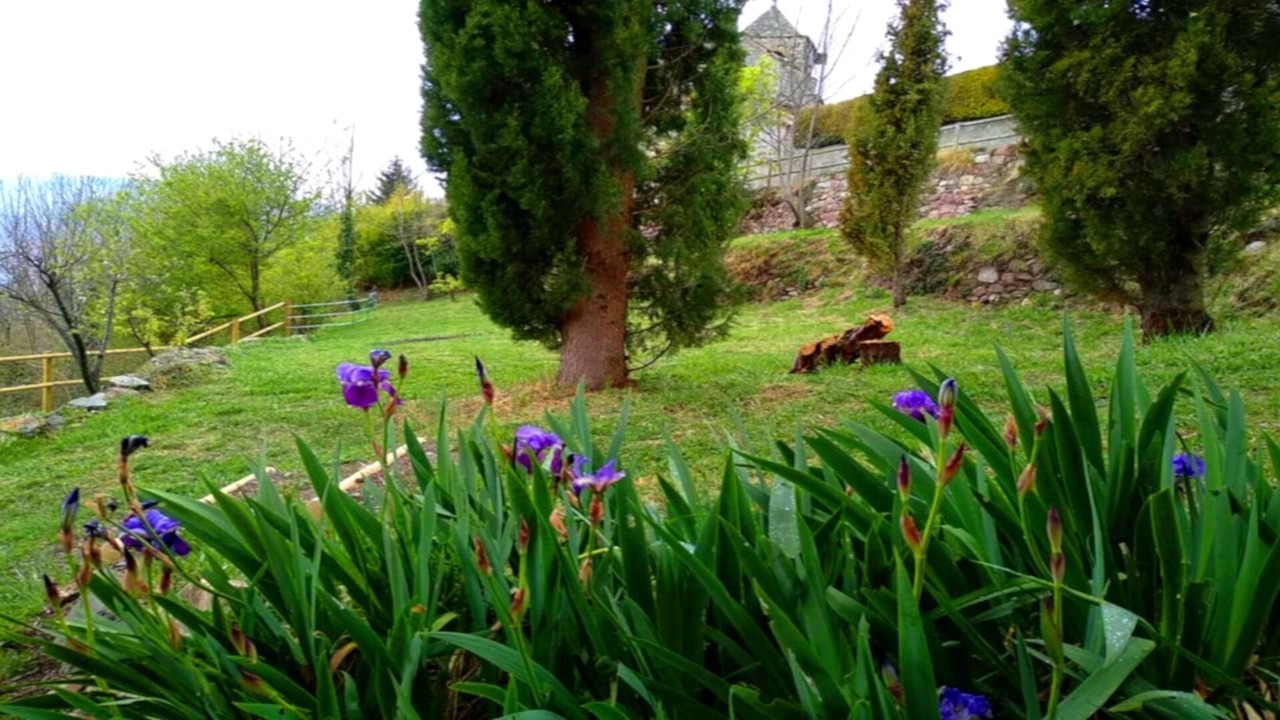Photo of Outdoor in Rocabruna