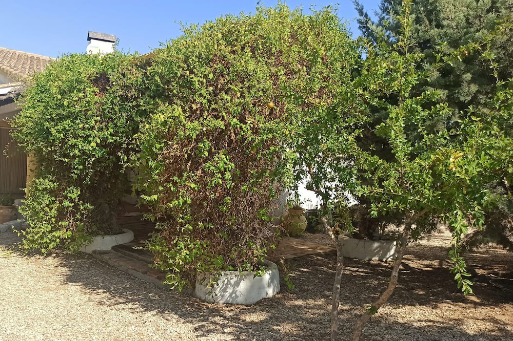 Photo of Outdoor in Mora