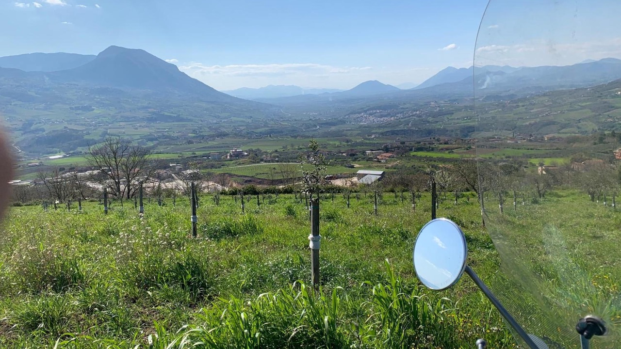 Photo of Outdoor in Torrecuso