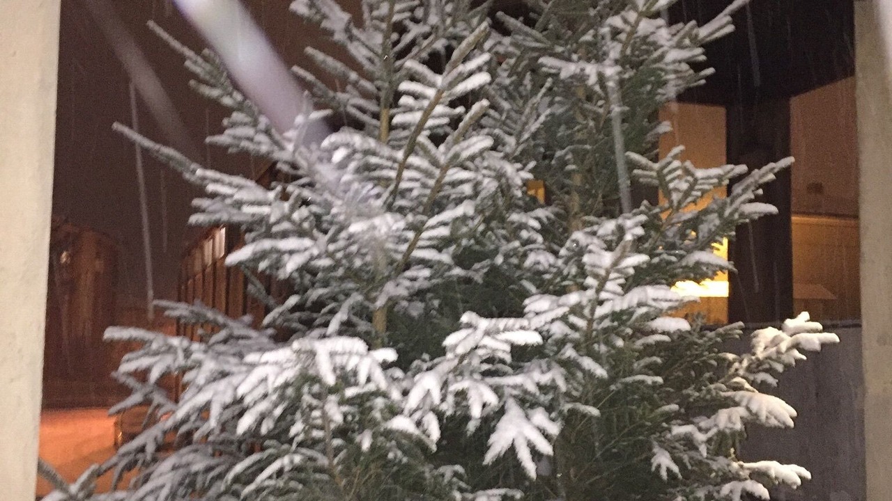 Photo of Outdoor in Sandra