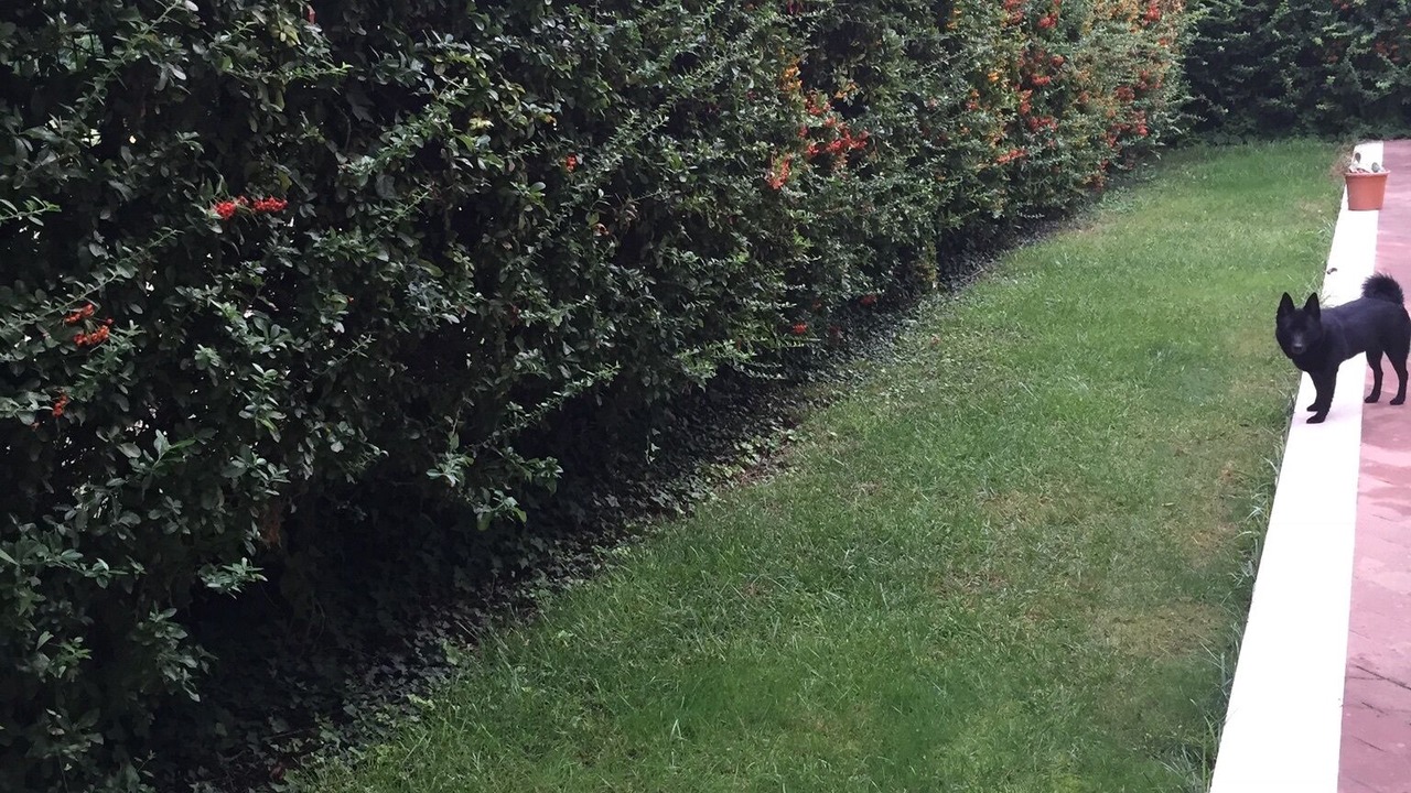 Photo of Outdoor in Sandra