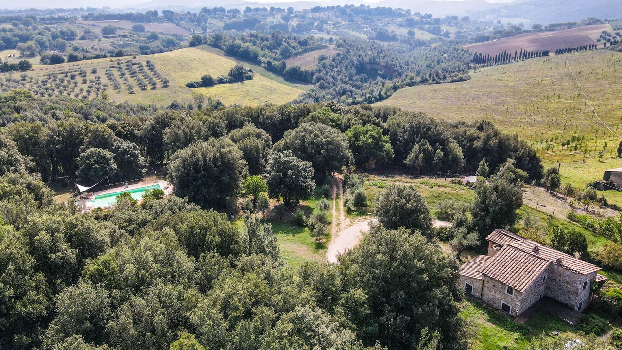 Photo of Outdoor in Amelia