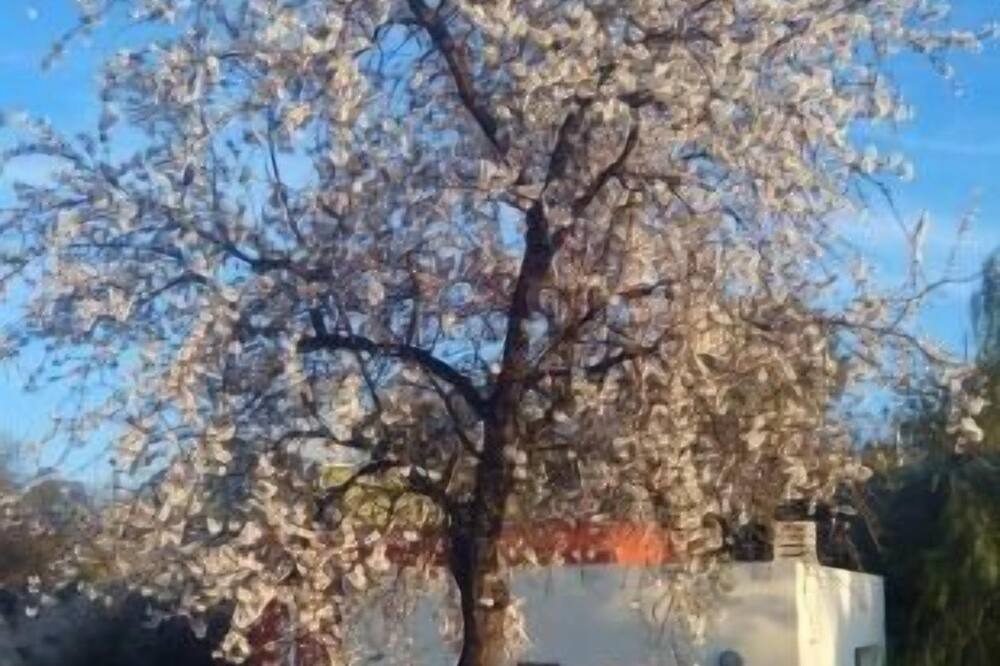 Photo of Outdoor in Calles