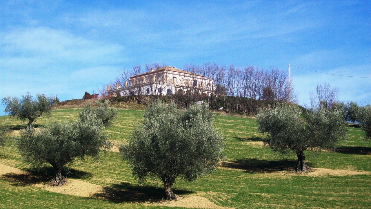 Photo of Outdoor in Marciano
