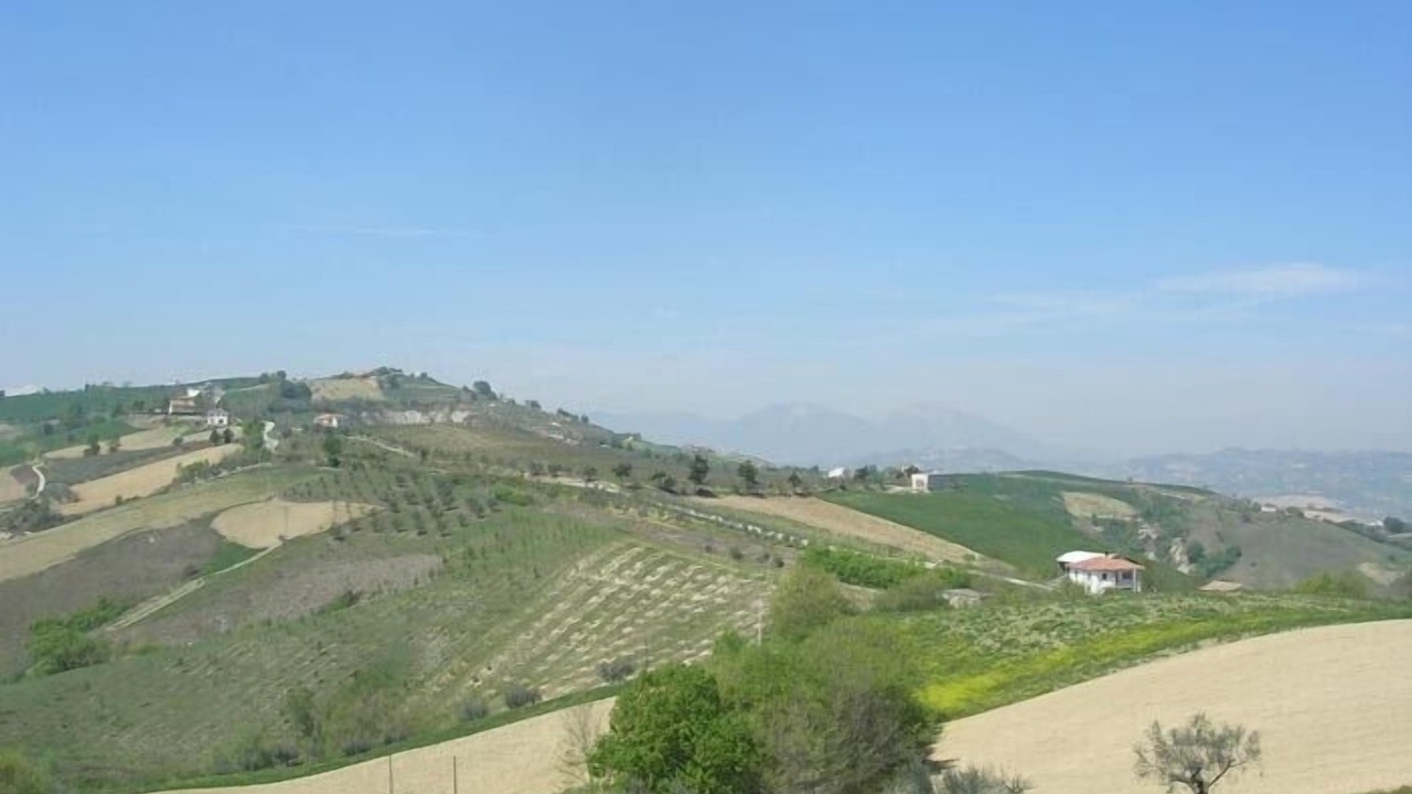 Photo of Others in Marciano